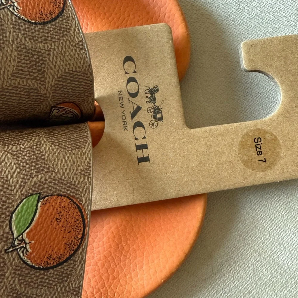 Coach Brown and Orange with Oranges Slide Sandals NWT - Picture 3 of 4